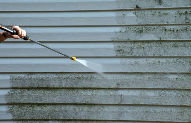 Best Vinyl Siding Pressure Washing in Neoga, IL