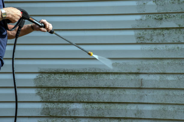 Best Window and Screen Pressure Cleaning in Neoga, IL